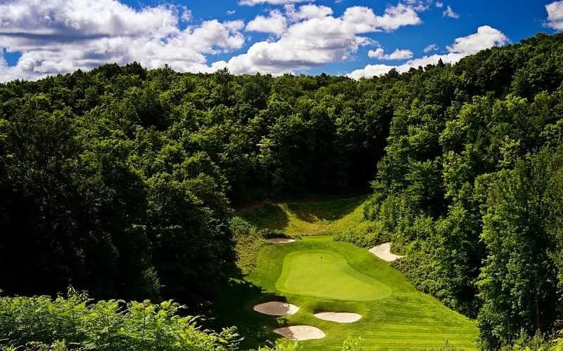 Treetops Resort Gaylord