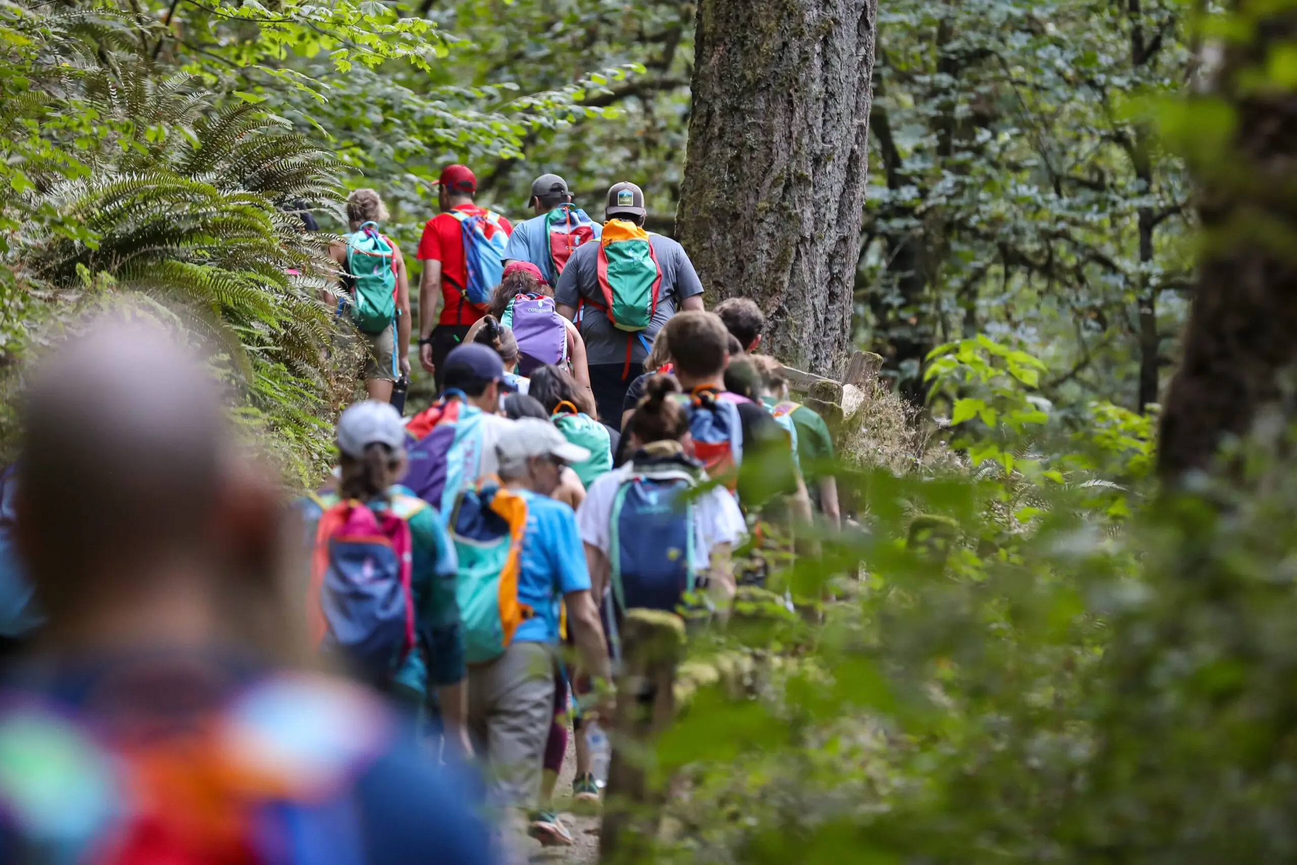 Forest Park Guided Hike